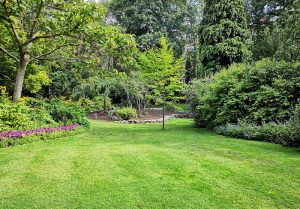 Optimiser l'expérience du jardin à Treglamus