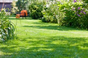 travaux jardin et paysage Treglamus